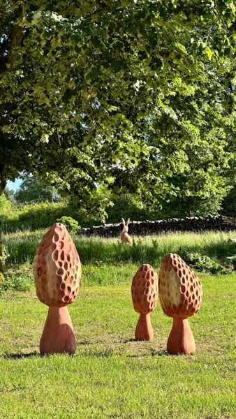 Morilles géantes